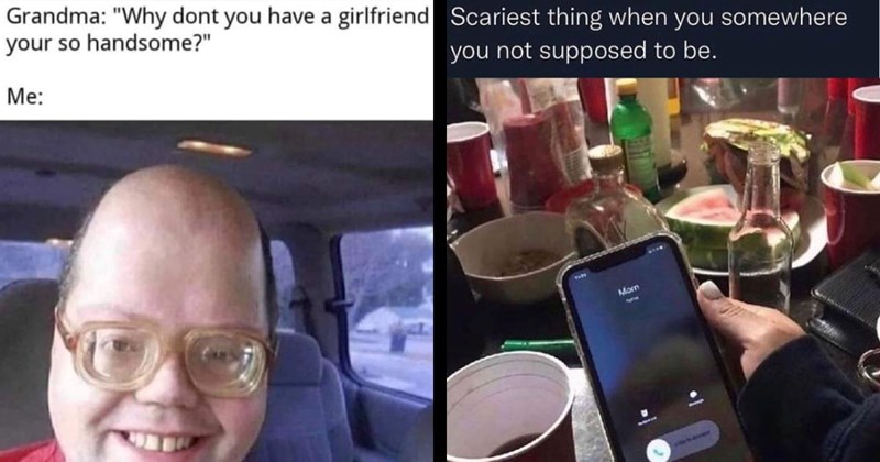 31 Family Memes That Are a Chip Off the Old Block