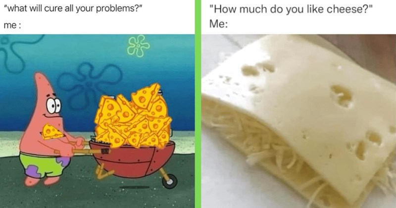 30 Un-BRIE-lievably Silly Cheese Memes Gouda for a Hearty Belly Laugh