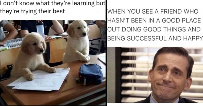 The Best Heartwarmingly Wholesome Memes and Posts of the Week (August 29, 2024)