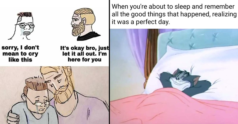 The Best Heartwarmingly Wholesome Memes and Posts of the Week (August 8, 2024)