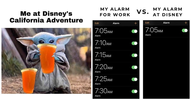 25+ Disney Parks Memes for Adults Dreaming of a Dole Whip and a Churro