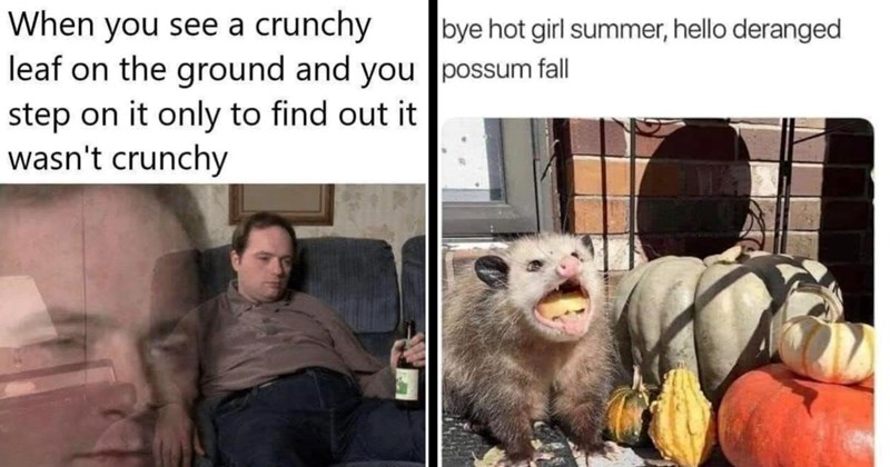 A Crisp Gust of 28 Autumnal Memes for Pumpkin-Pickers Eager to Crunch Some Leaves