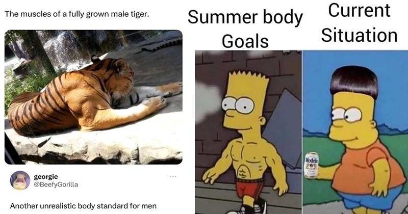 25+ Gym Memes for Maximum Gains (August 3, 2024)