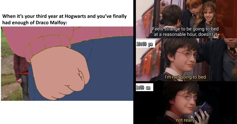 The Funniest Harry Potter Memes of the Week (August 14, 2024)