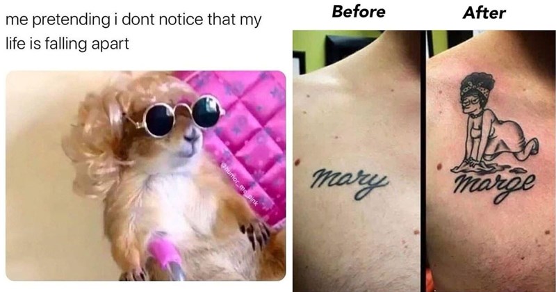 25+ Rad Memes for Cool People