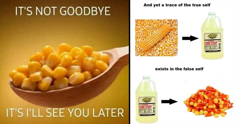 23 Freshly Harvested Not-so-Corny Corn on the Cob Memes for Fans of the Kernel