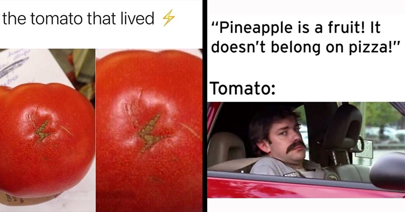 23 Tomato Memes That Look Like Vegetables But are Actually Fruit