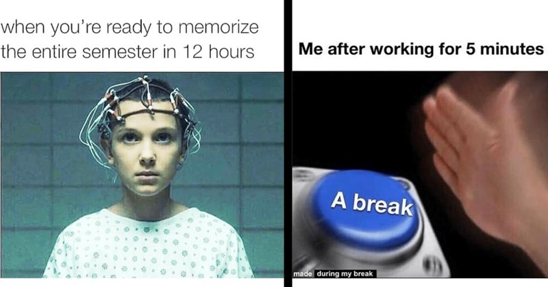 A Textbook Full of 25 Study Memes to Brush Up On This Semester