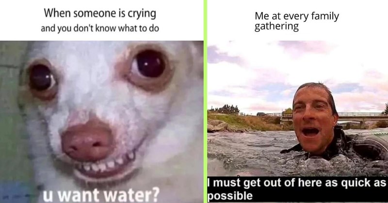 28 Relatable Memes to Enjoy with Your Morning Coffee and Kickstart Your Workday