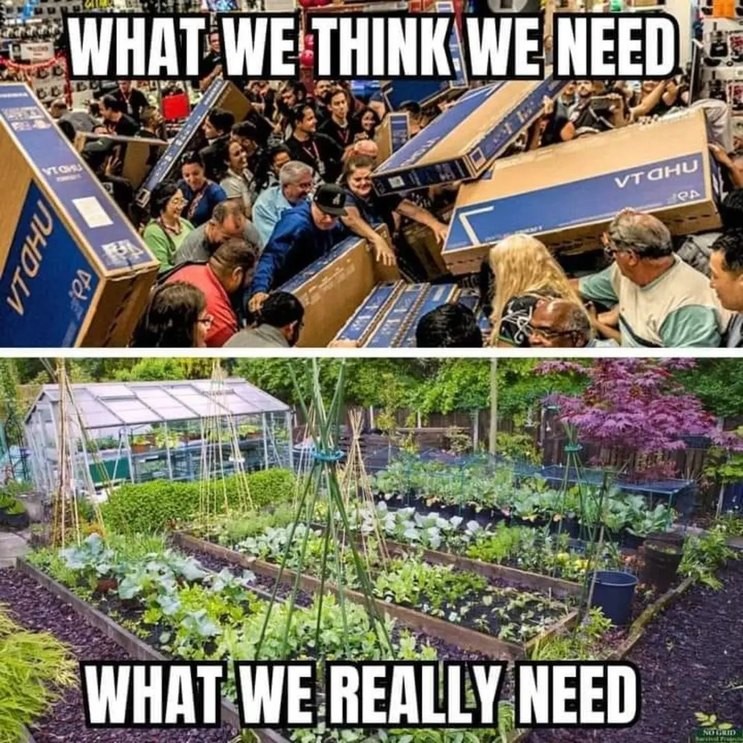 Plant a garden in your window – meme