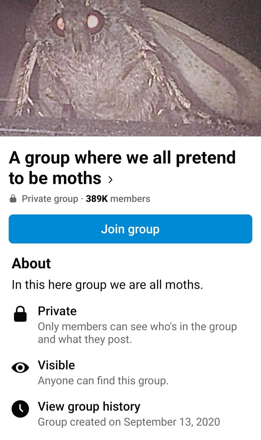 So guys you want to be moth? – meme