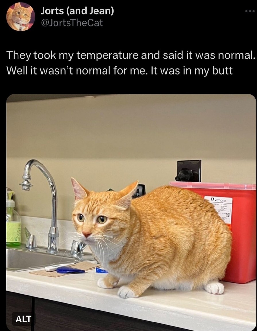 Give him back his temperature – meme