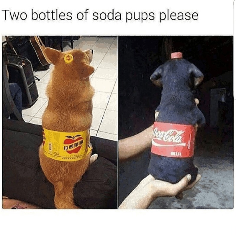 Pupper cola – meme