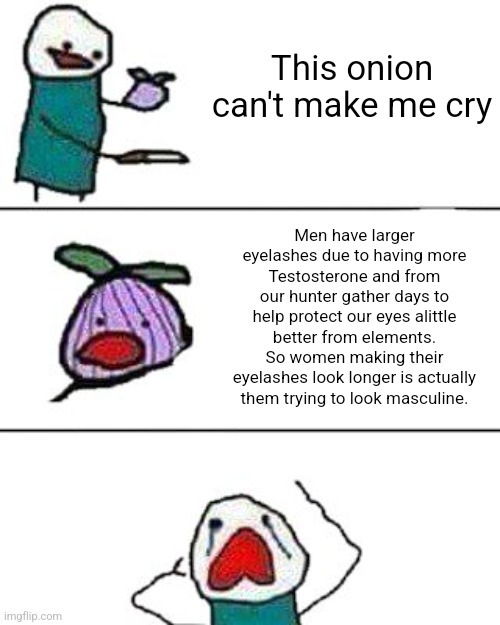 So longer eyelashes are gay – meme