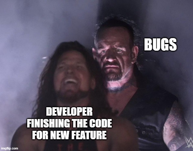 When You Think You’re Done… But Bugs Have Other Plans – meme