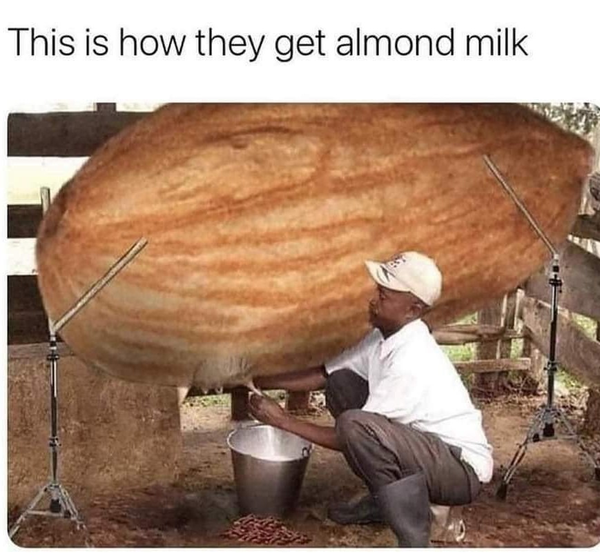 Almond titties – meme