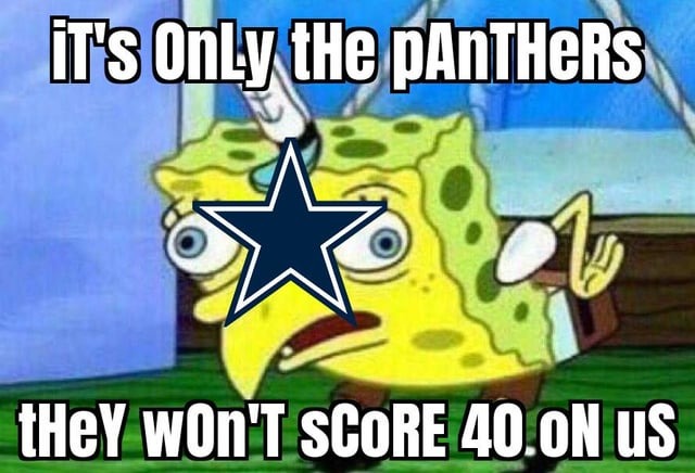 Panthers game meme