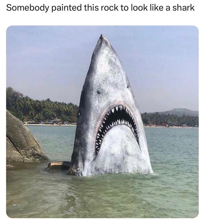 Looks like the shark stepped on a Lego – meme