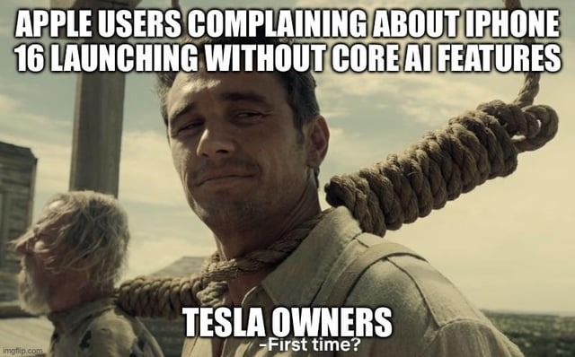 Apple users and Tesla owners – meme