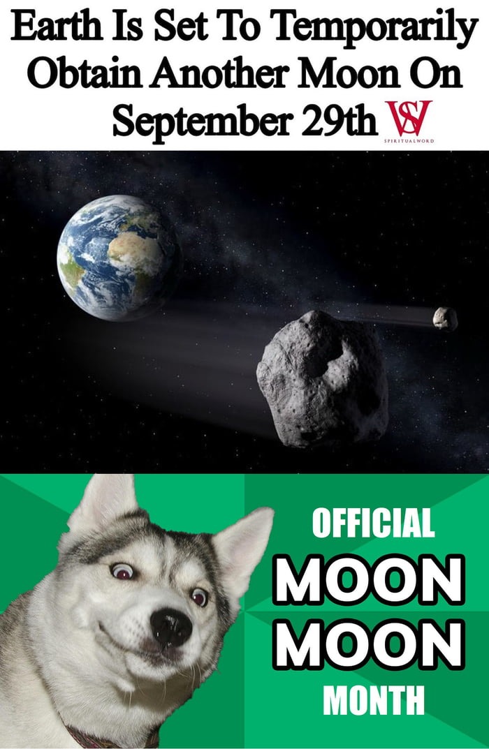 Moon moon – meme