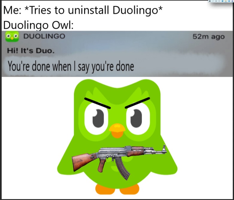 Duolingo memes