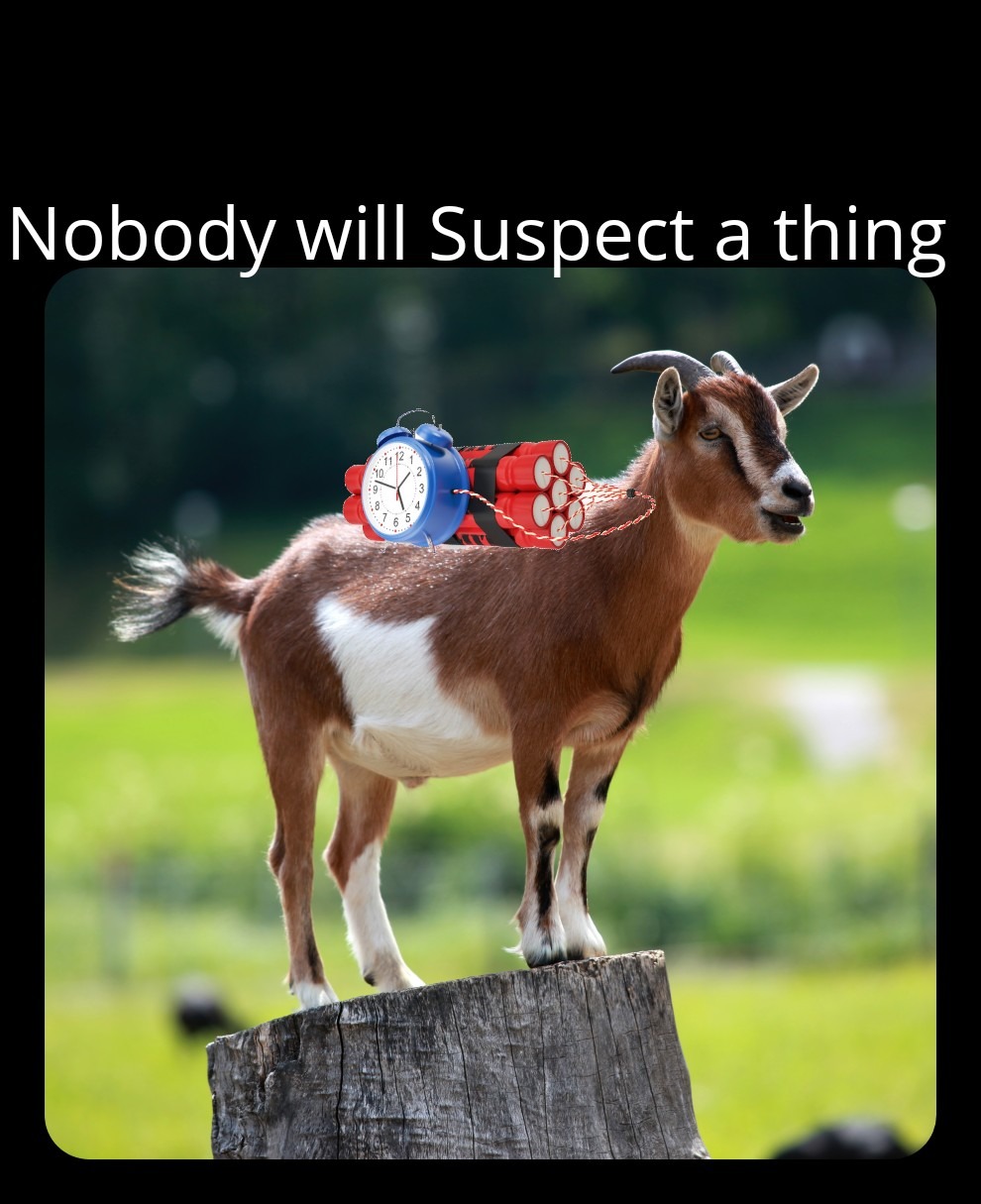 Exploding goats – meme