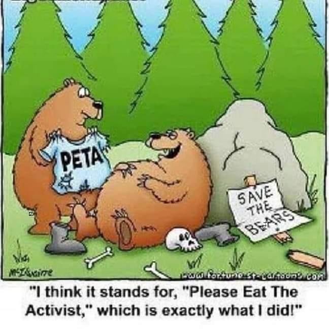 They feed the bears, we get rid of them, I see nothing but wins! – meme