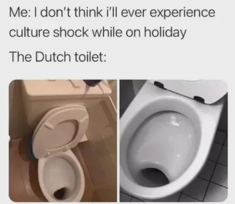 Dutch toilet meme