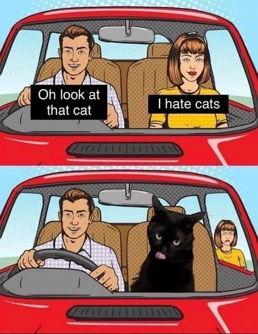 car in a car – meme