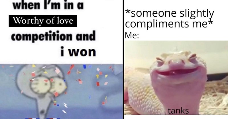 The Best Heartwarmingly Wholesome Memes and Posts of the Week (September 19, 2024)