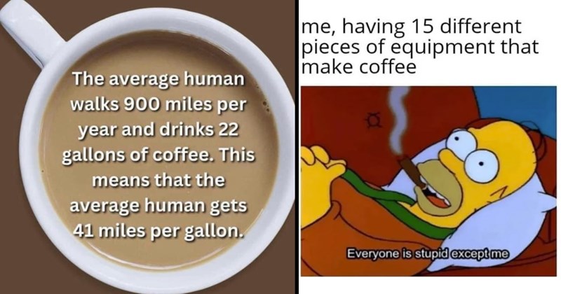 21 Coffee Memes to Accompany Your Daily Caffeine Appointment