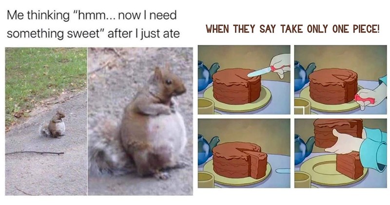 25+ Dessert Memes for Activating Your Second Dessert Stomach