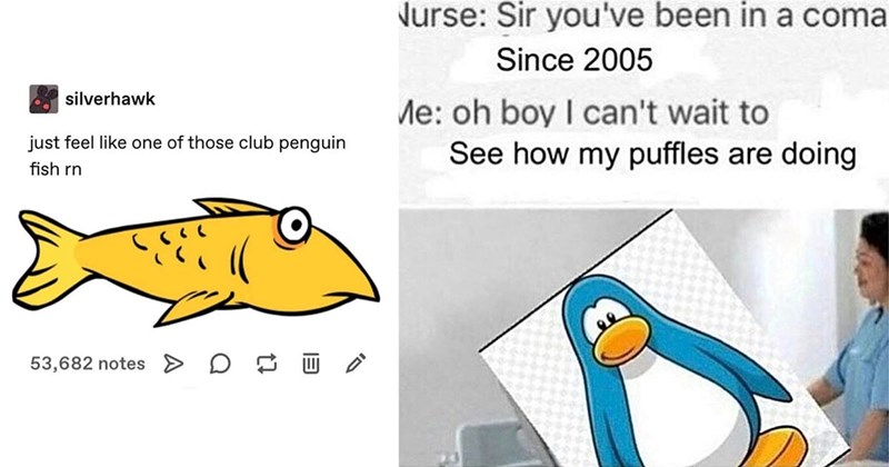 25+ Club Penguin Memes for 2000s Kids Still Mourning Their Puffles