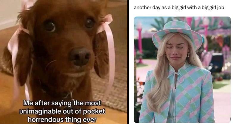 24 Random Memes With Girly Themes