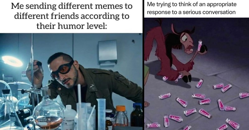 25 Meta Memes for Meme Collectors Whose Main Hobby is Screenshotting