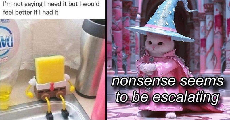 35 Memes That Brighten the Place Up