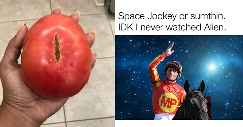 30+ Hilarious Sci-Fi Memes to Fill Your Nerdy Needs (September 23, 2024)