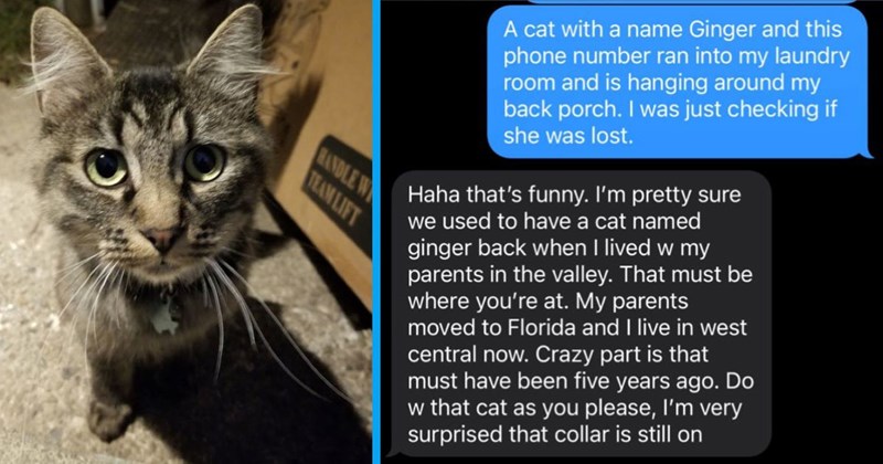 Woman finds a lost cat with a collar, owner says they moved away 5 years ago and to do with the cat as they please: ‘I’m pretty sure we used to have a cat named Ginger back when I lived with my parents’