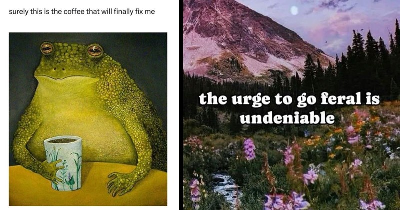 29 Struggle Memes for Anyone Going Through it Right Now