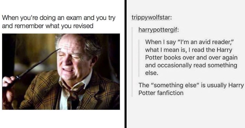 The Funniest Harry Potter Memes of the Week (September 18, 2024)