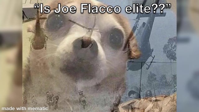 Joe Flacco meme