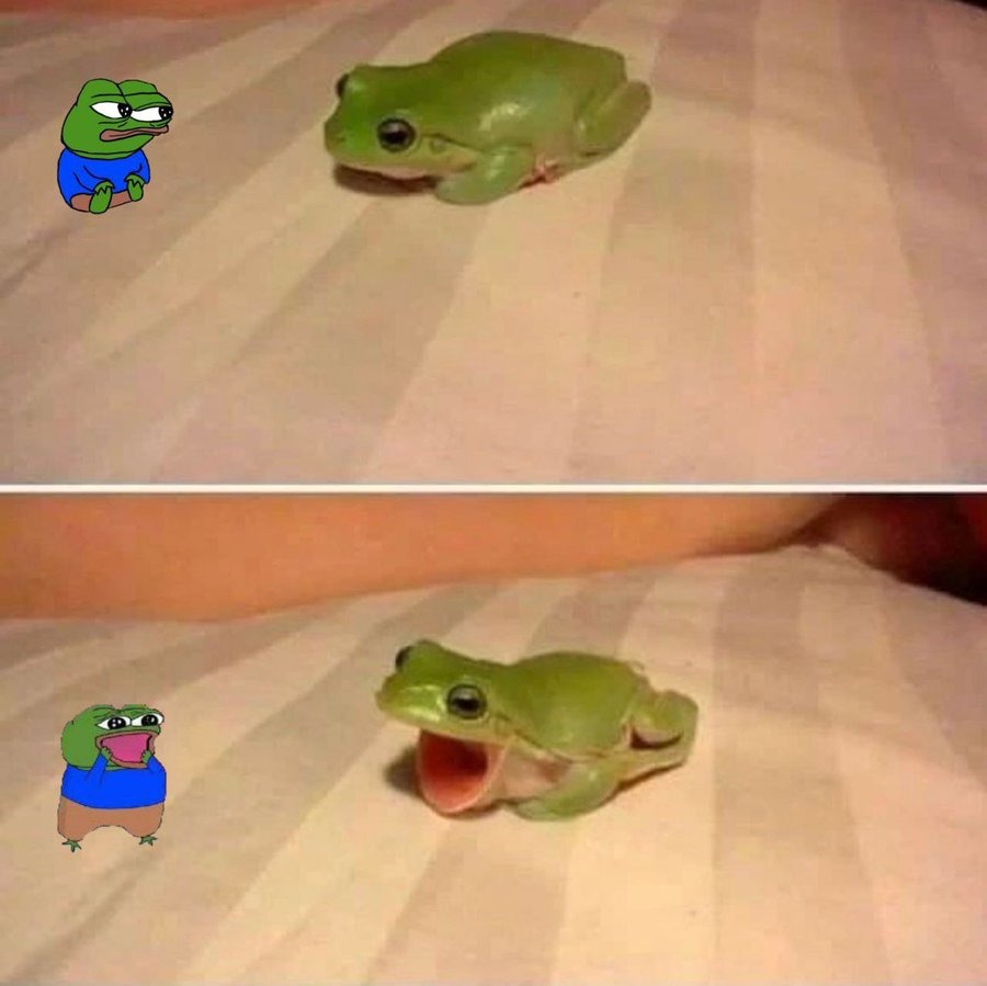 Frog frens – meme