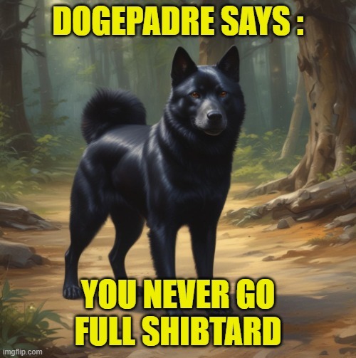 Shibtard – meme