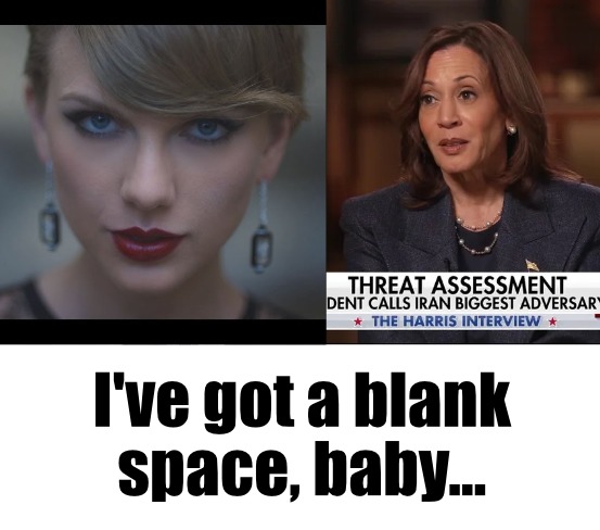 I’ve got a blank space, baby… – meme