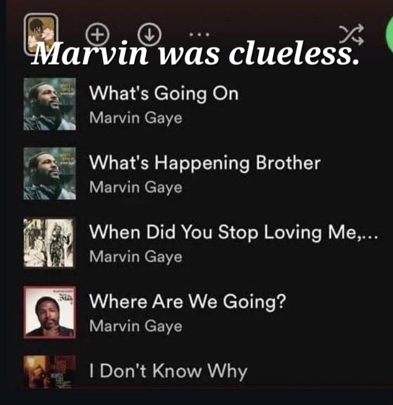 Marvin Gaye was an idiot. – meme