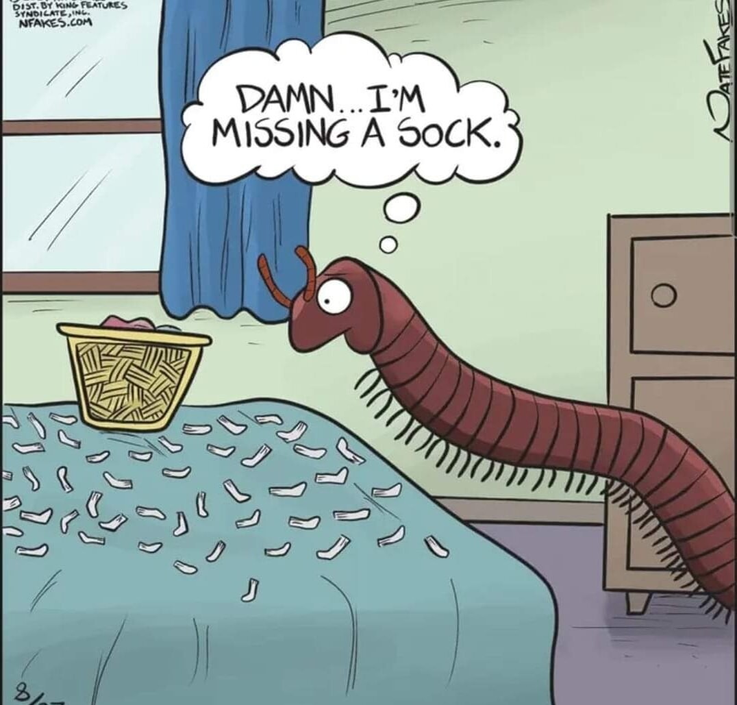 Sock – meme