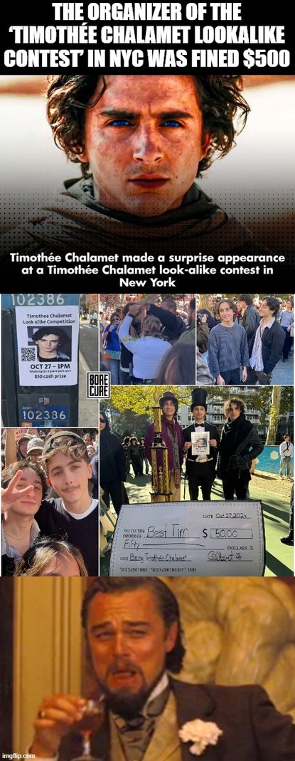 The organizer of the Timothée Chalamet lookalike contest in NYC was fined $500 – meme