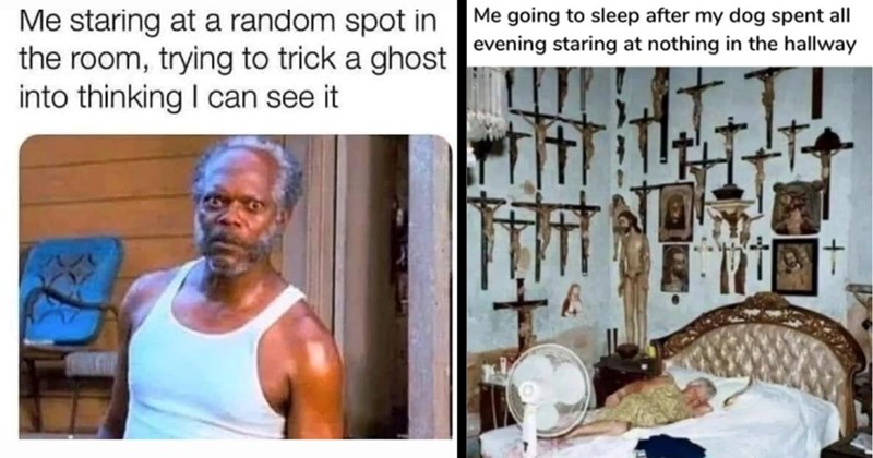 25 Paranormal Memes Caught on Camera This Spooktober