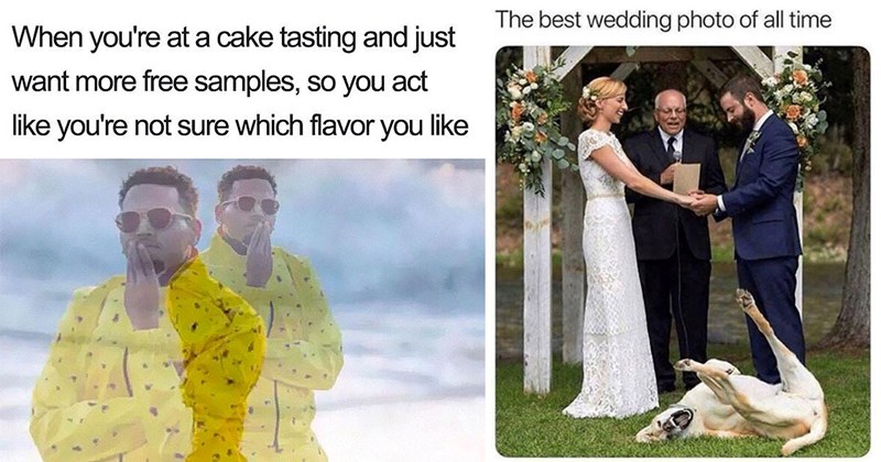 30+ Wedding Memes for Couples Who’d Rather Look at Memes Than Wedding Plan