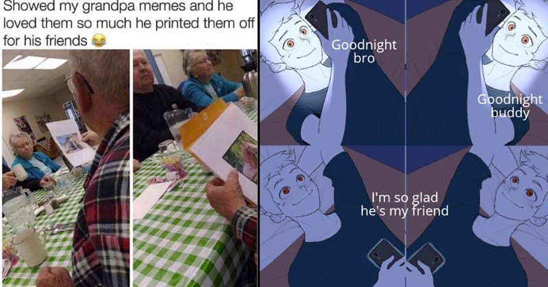 The Best Heartwarmingly Wholesome Memes and Posts of the Week (October 24, 2024)